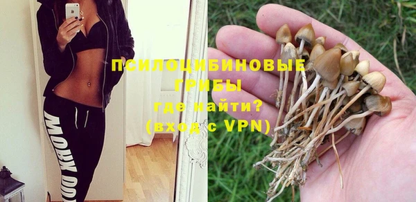 дмт Абинск