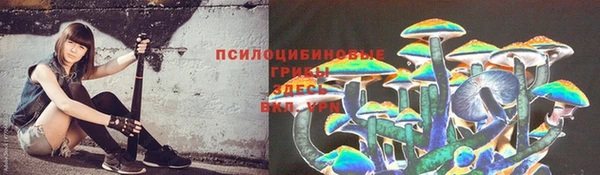 мяу мяу мука Новозыбков